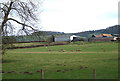 Grazing near North Sutton, Shropshire