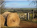 Public Bridleway