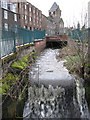 The mill lade in Paton Street