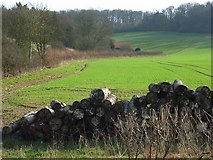 SU5974 : Farmland, Bradfield by Andrew Smith