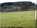 Quarry at Cefn Crib