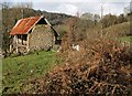 Barn at Kelly