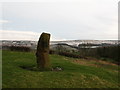 Standing stone, Nether Silton