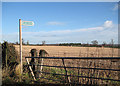 Footpath through stubble field