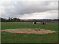 Farmland near Ormesby Grange farm