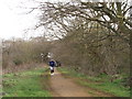 Runner on Horsenden Hill