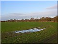 Farmland, East Hagbourne