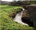 Wray Brook at One Mill Bridge