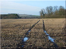 SU5487 : Farmland, Blewbury by Andrew Smith