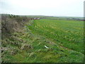 Field next to the A39