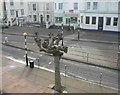 Ryde: zebra crossing and knobbly tree