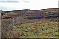 NG3142 : Fence above Loch Caroy by John Allan