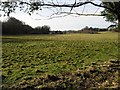 View across the fields towards Betteshanger