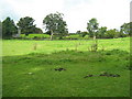 Farmland at Llandegfan