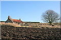 Derelict cottage by Overbrae