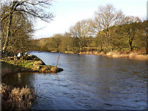 NX3559 : River Bladnoch near Killiemore by David Baird