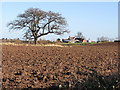 Ploughed field near Corse House Farm