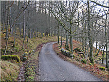 NN6423 : South Loch Earn road near Creagan Breac by Dr Richard Murray