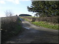 Lane up Edenhope Hill