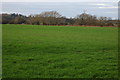 Fields to the west of Mickleton