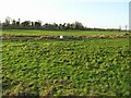 Derryhirk Townland