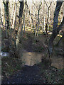 Ford on bridleway crossing Mill Beck