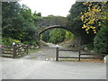 Disused railway bridge at Seiont Nurseries