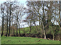SO8487 : Grazing Land  by Spittle Brook, Staffordshire by Roger  D Kidd