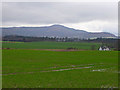 Farmland near Powmill