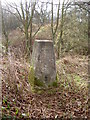 Triangulation Pillar near Clatterbridge Hospital.