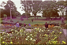 SZ5476 : Botanic Garden, Undercliff, Ventnor, Isle of Wight by Christine Matthews