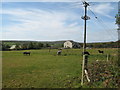 Farmland at Trezelah Park Farm