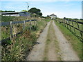 The lane at Mulfra