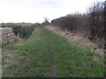 The Lane from East Lambrook to Middle Lambrook