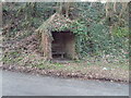 Overgrown Bus Shelter