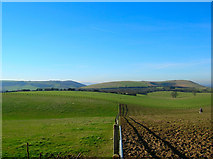 TQ3013 : Fields near New Barn Farm by Simon Carey