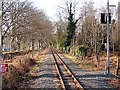 Vale of Rheidol Railway track at Glanyrafon