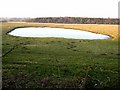 Dew pond near Penny Hill farm