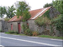 S6681 : Old house in Ballickmoyler by Tom LaPorte