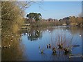 Heath Pond, Petersfield