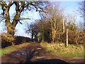 Green Lane leading to Greenfields