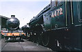 Arguably the most famous locomotive in the world - 4472 The Flying Scotsman