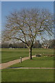 TL4359 : View across Churchill College playing fields by Fractal Angel