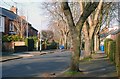 Martinez Avenue, Belfast