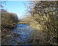 River Nadder near Dinton