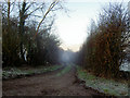 Footpath off Common Lane