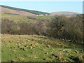 View east towards Knockenhair