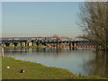 SK4930 : Red Hill bridge by Alan Murray-Rust