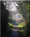 Clandeboye Avenue, Helen