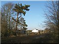 Moss Cottage, Drumburgh